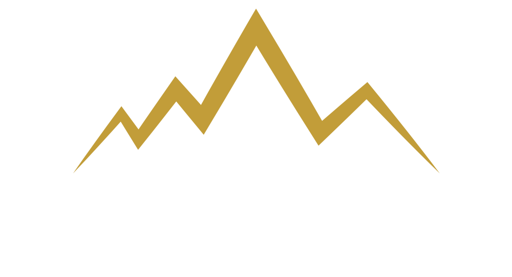 WEB-Pioniere - Werbeagentur - Webdesign  | Recklinghausen